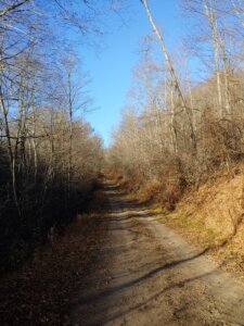 hiking trail